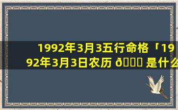 1992年3月3五行命格「1992年3月3日农历 🐟 是什么命」